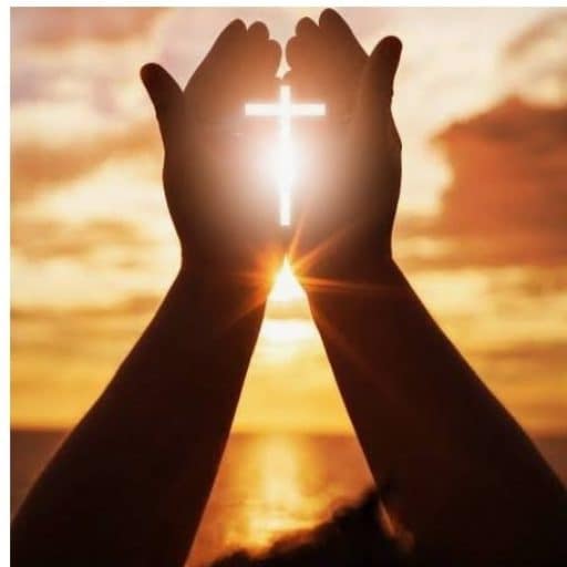 Cupped hands holding a cross in the center, symbolizing Kingdom Seekers Hub